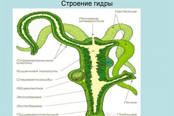 Как вернуть аккаунт кракен