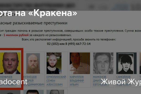 Найдется все кракен